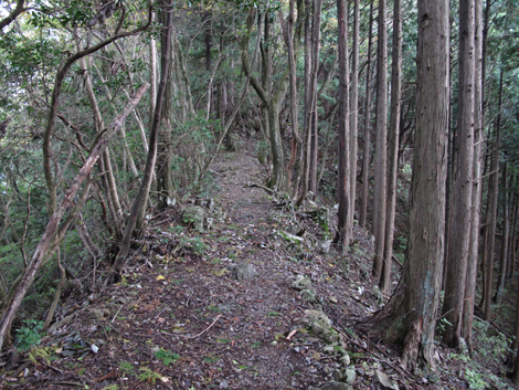 20181009hike (163)
